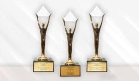Top BUMD Awards 2021